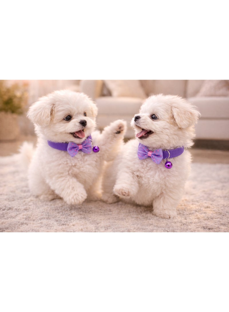 Petto AdjustableBowknot Pet Collar with Bell – Soft, Stylish & Comfortable - Image 4
